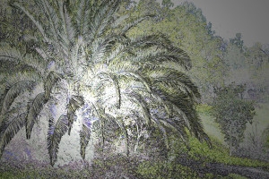 blog photo tree with light